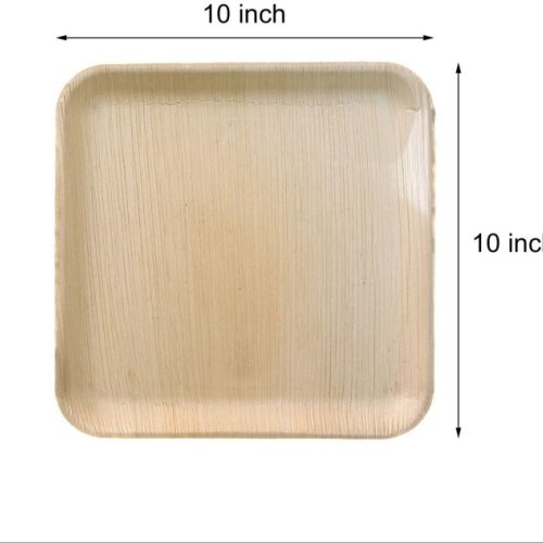 10 Inch Square Areca Leaf Plate