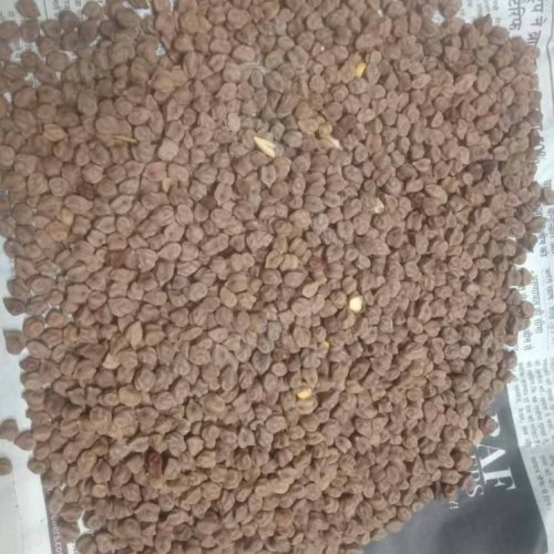 A Grade Brown Desi Whole Chana