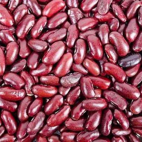 A Grade Red Rajma