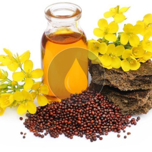 Black Mustard Seeds Oil