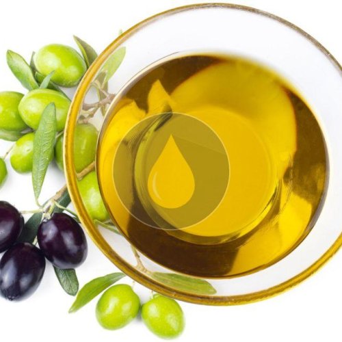 Olive Oil