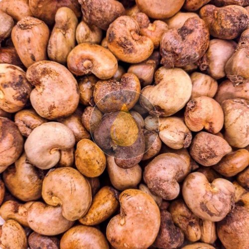 Raw Cashew Nut