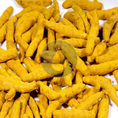 Turmeric Finger