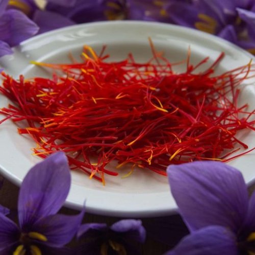 Kashmiri Mongra Saffron