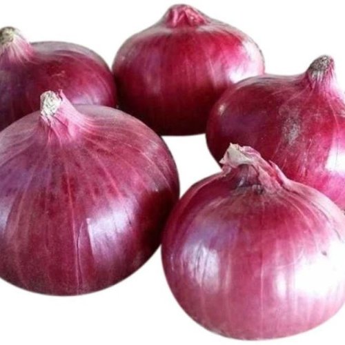 A Grade Pink Onion