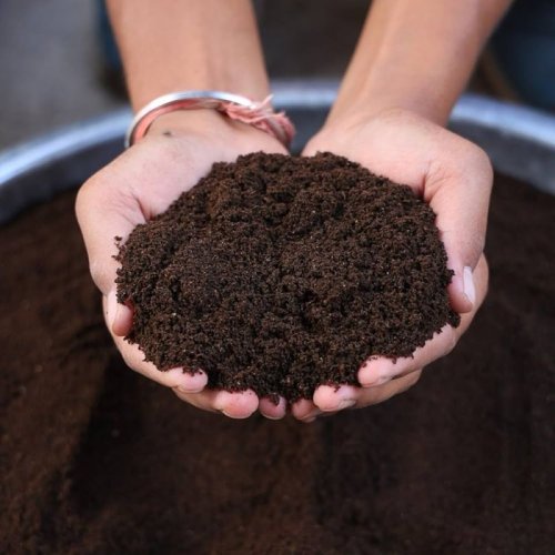 Natural Vermicompost Fertilizer