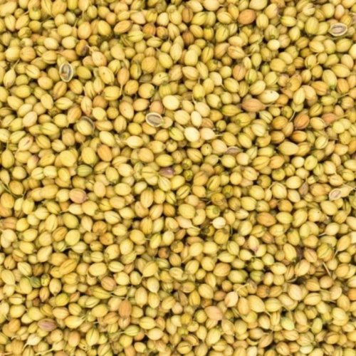 Coriander Seeds