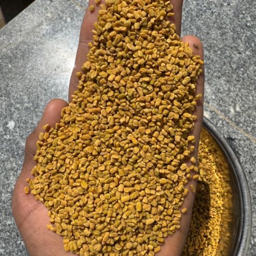Yellow Fenugreek Seeds