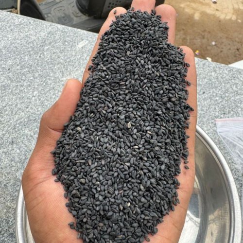Black Premium Quality Sesame Seeds
