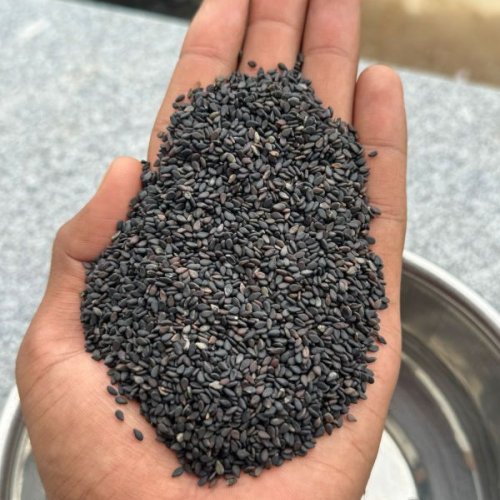 Black Hybrid Sesame Seeds