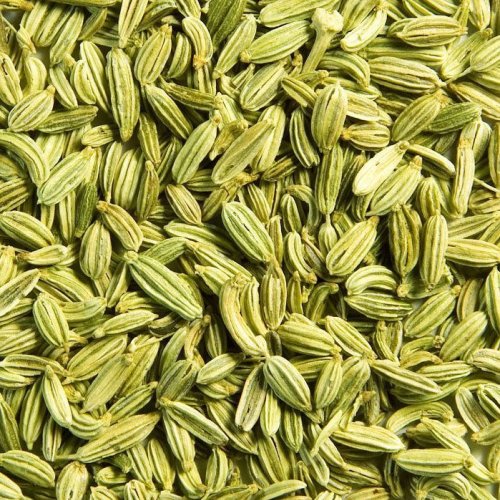 Premium Quality Fennel Seeds