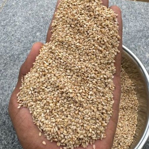 Sesame Seeds