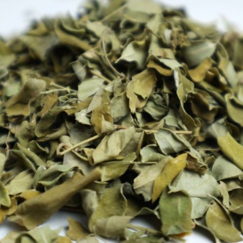 Dried Moringa Leaves