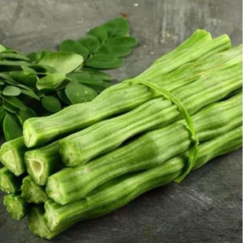 Fresh Green Drumstick