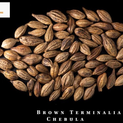 Natural Brown Terminalia Chebula