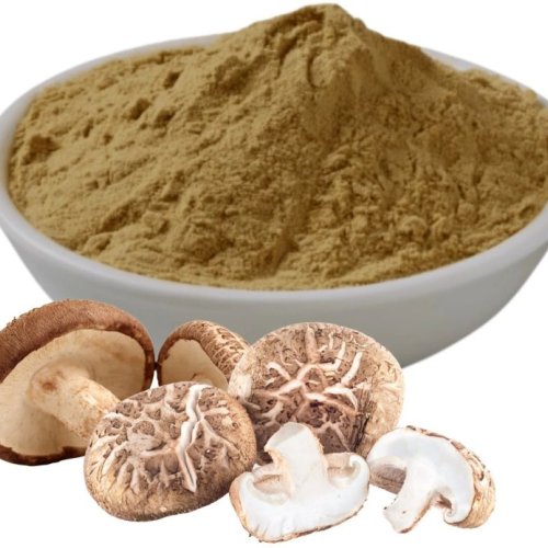 Fine Grade Mushroom Powder