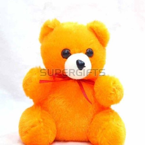 Orange Stuffed Teddy Bear