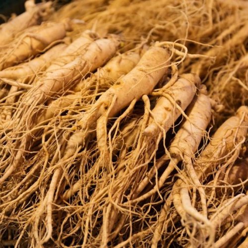 Dried Ginseng Roots