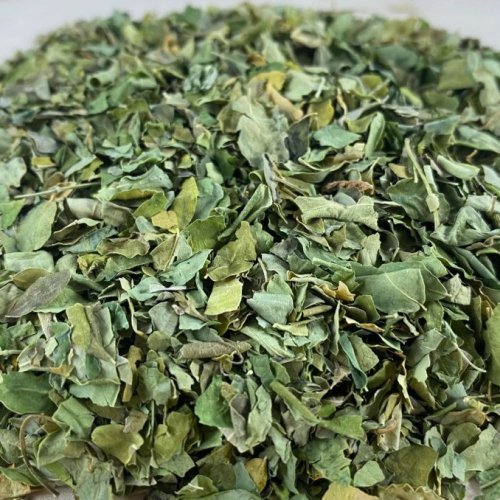 Dried Moringa Leaves
