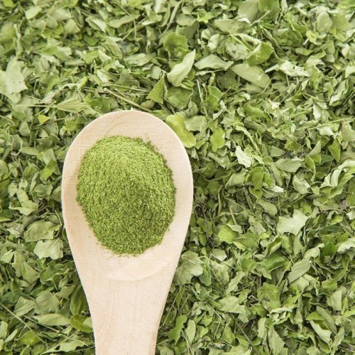Dried Moringa Leaves Powder