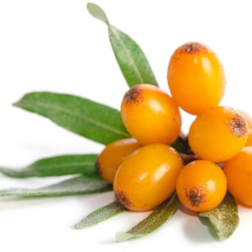 Sea Buckthorn Berry