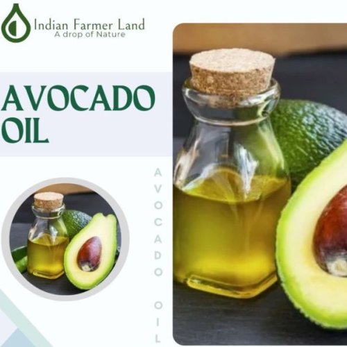 Avocado Oil