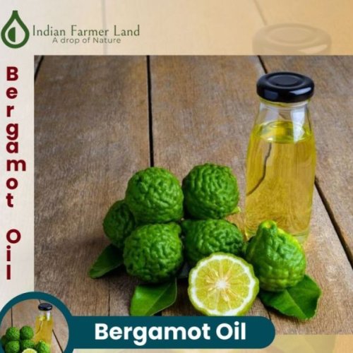 Bergamot Oil