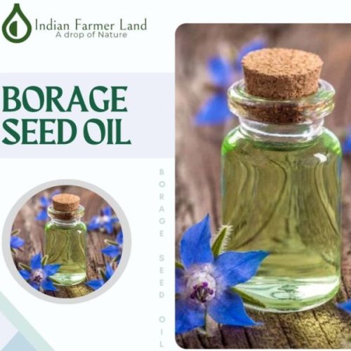 Borage Seed Oil