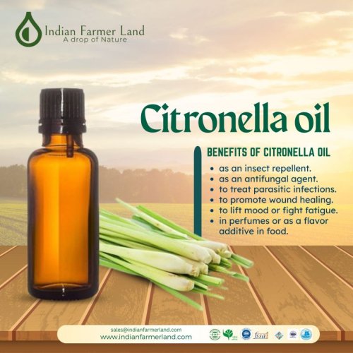 Citronella Oil