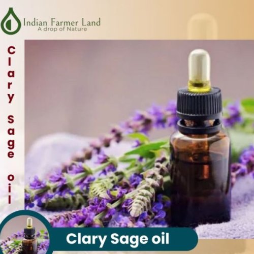 Clary Sage Oil