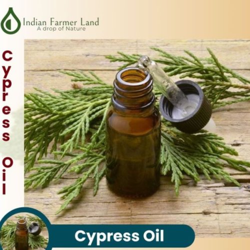 Cypress Oil