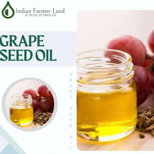 Grape Seed Oil