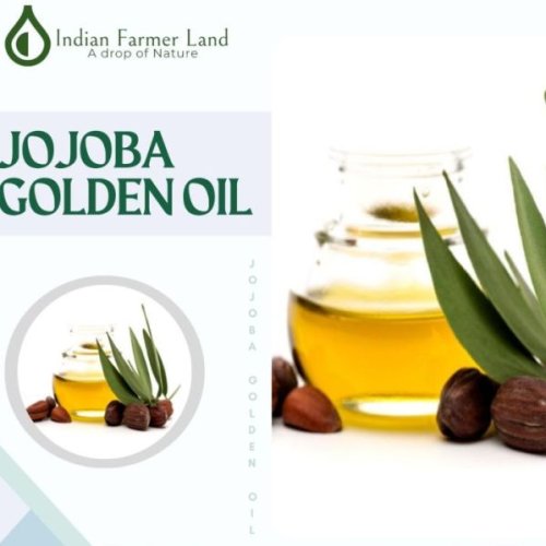 Jojoba Golden Oil