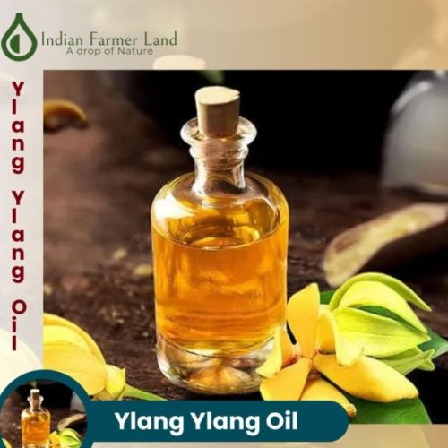 Ylang Ylang Oil