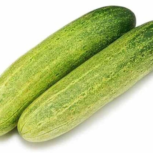 A Grade Fresh Cucumber