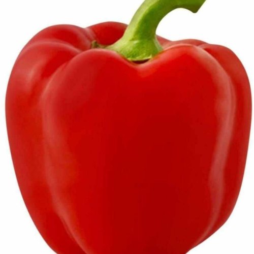 A Grade Red Capsicum