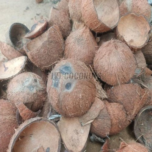 Coconut Shells