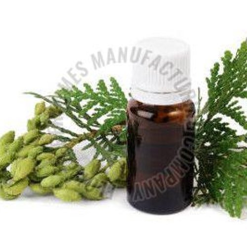 Morpankhi Essential Oil