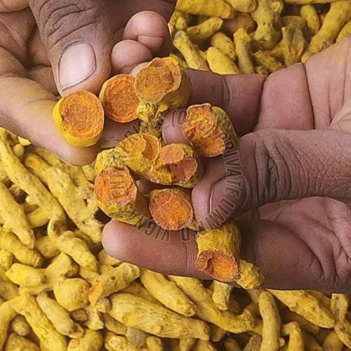 Organic Turmeric Finger