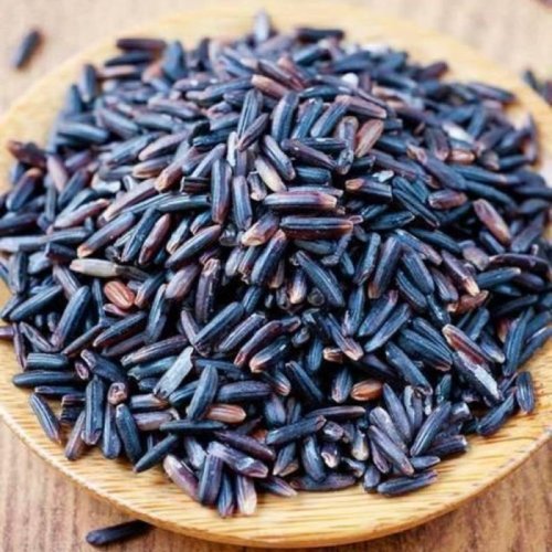 Pure Black Paddy Seeds