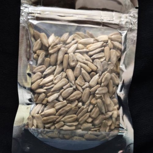 Organic Sunflower Seed