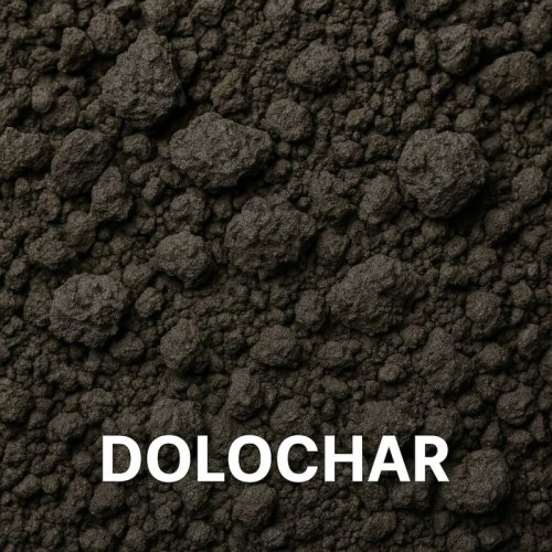 Dolochar Coal