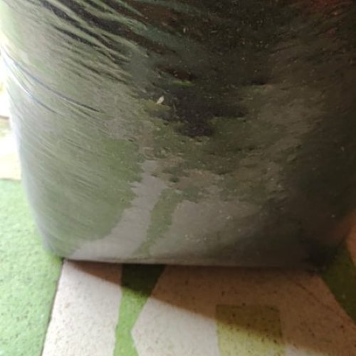 Pure Organic Vermicompost Fertilizer