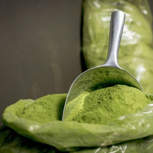 moringa powder