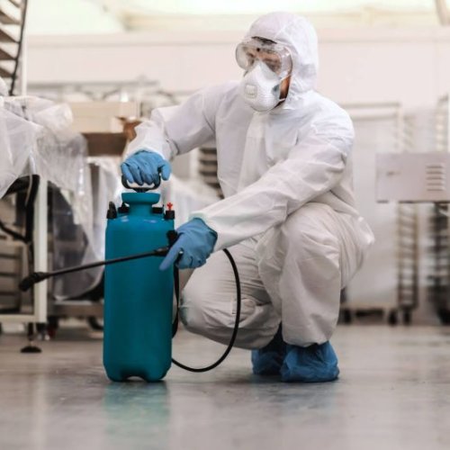 Best Pest Control Service