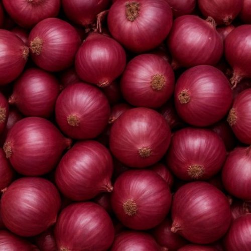 fresh red onion