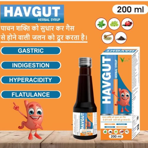 Vcare Havgut Herbal Digestion Syrup
