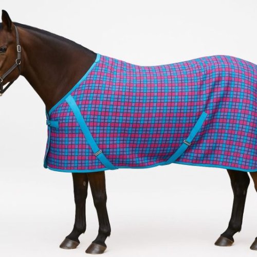 Horse Summer Rug