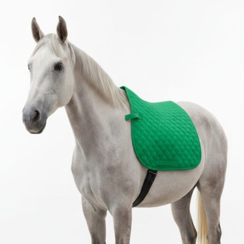 Horse Saddle Pad