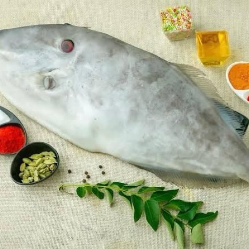 Fresh Leather Jacket Fish